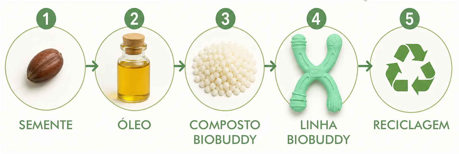 Infográfico do ciclo de produção BIOBUDDY: semente, óleo, composto, linha de brinquedos e reciclagem