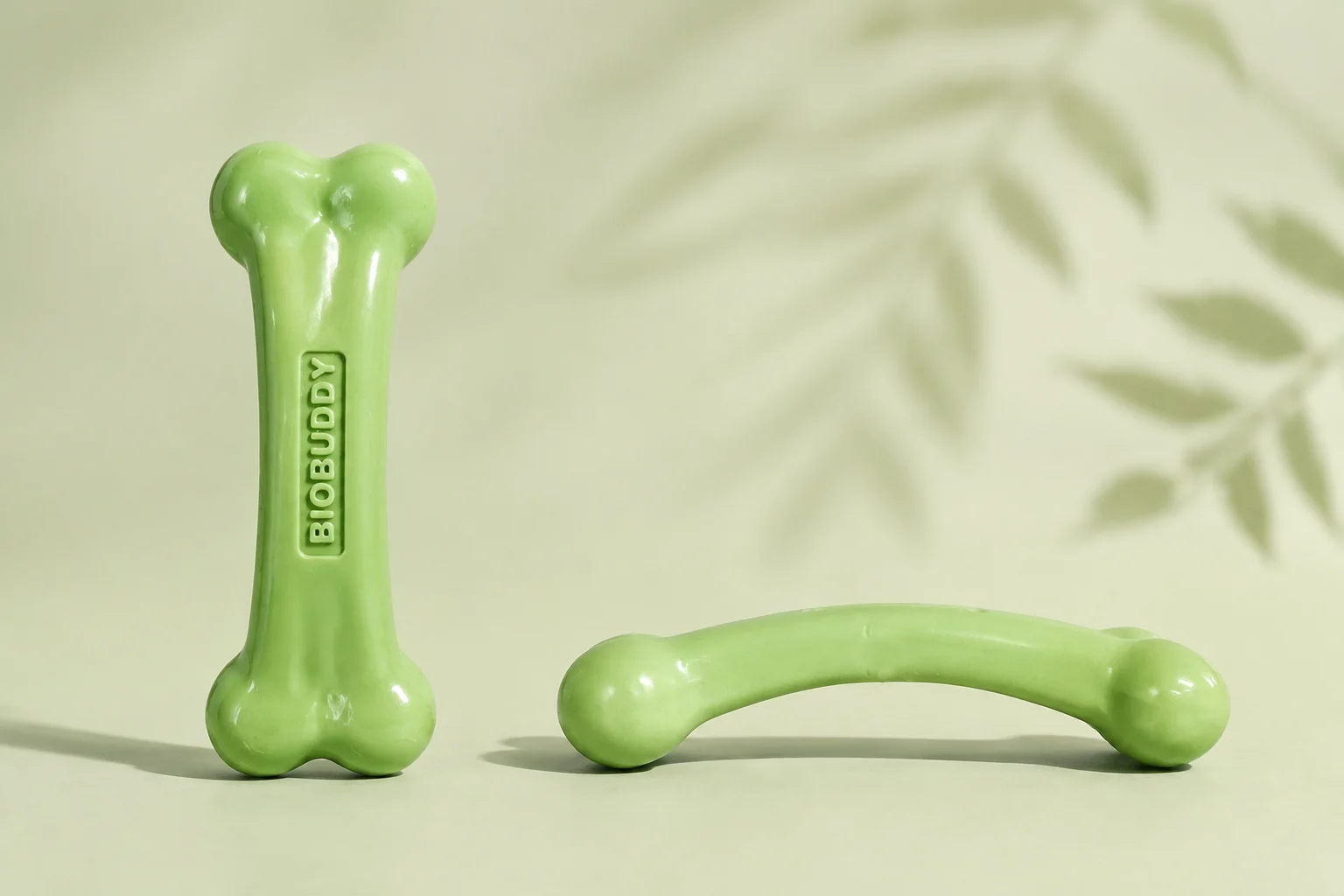 BIOBUDDY Osso em vistas frontal e lateral